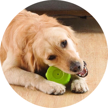 EVA Pet Dog játékok